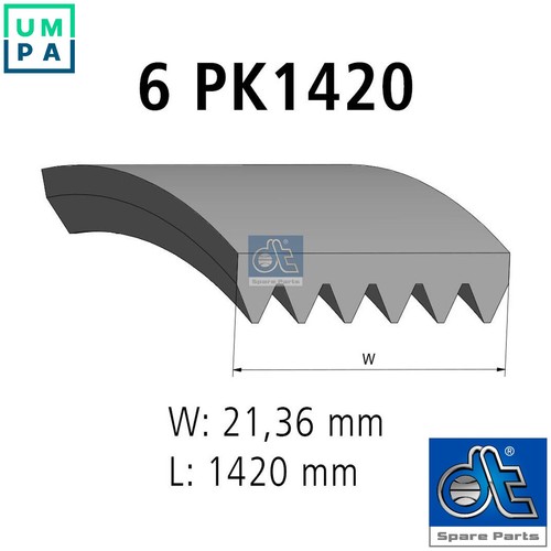 Vribbed belt 31516 - belt, 6.31516