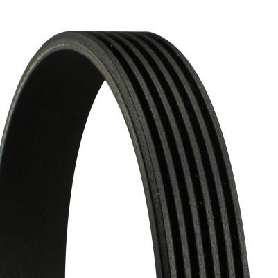 Belt set continental - set, ctam
