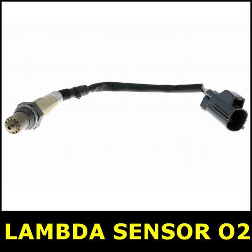 Lambda sensor after cat - after,